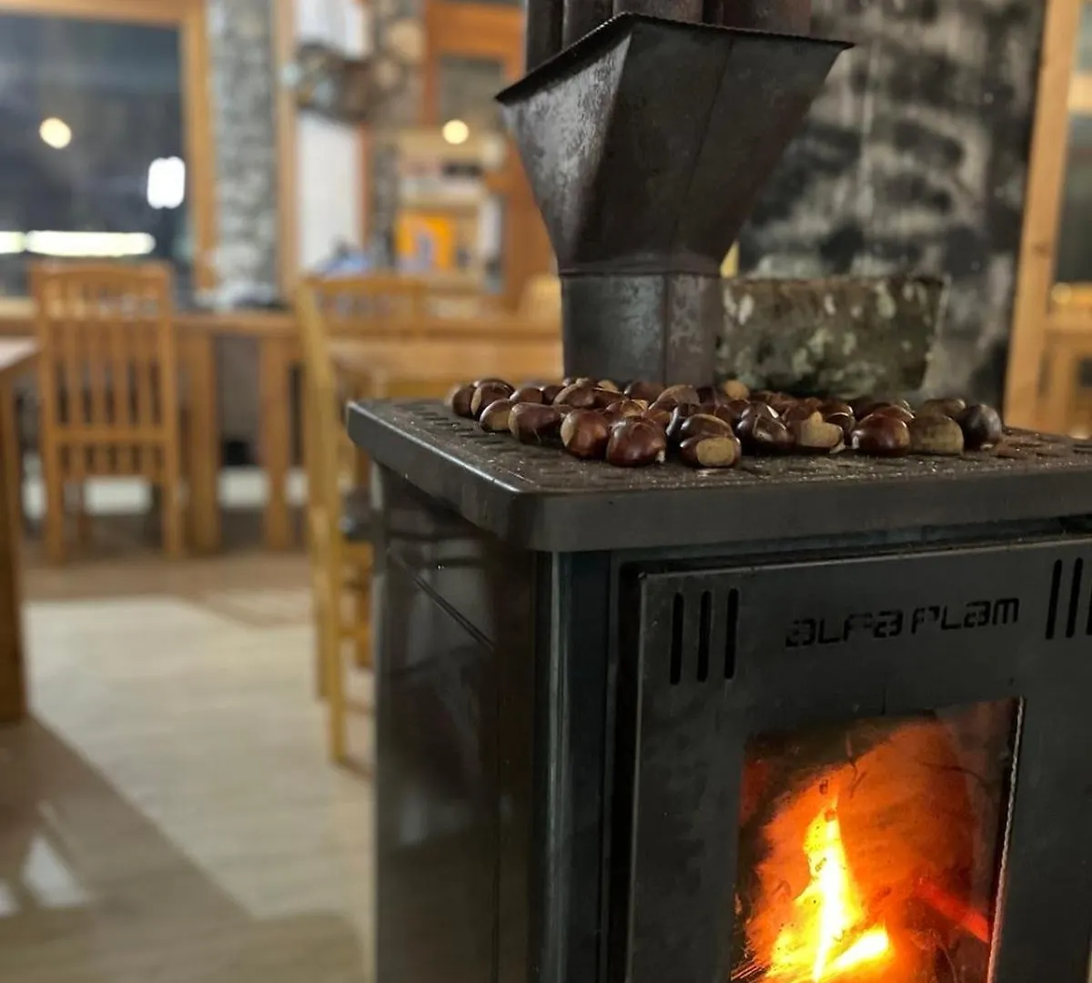 Gasthuis Petriti Theth Hotel