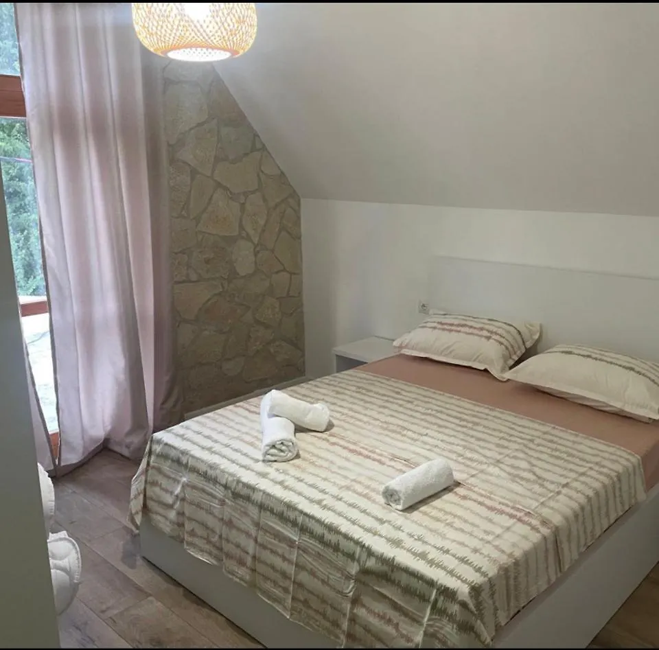 Petriti Theth Hotel 0*,  Albanien