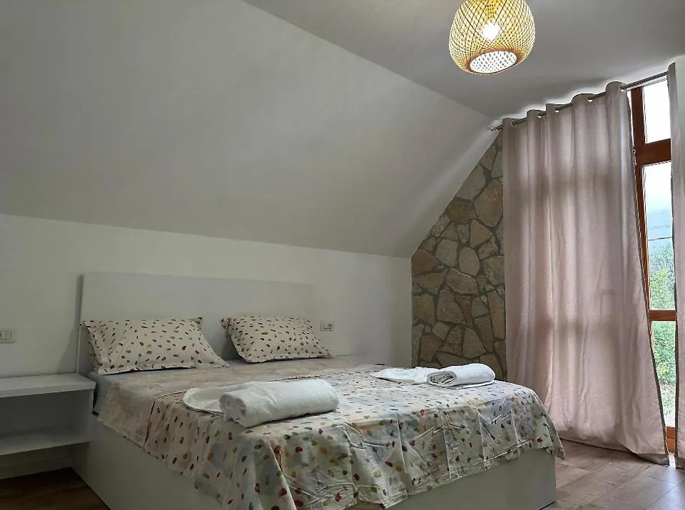 Petriti Theth Hotel 0*,  Albania