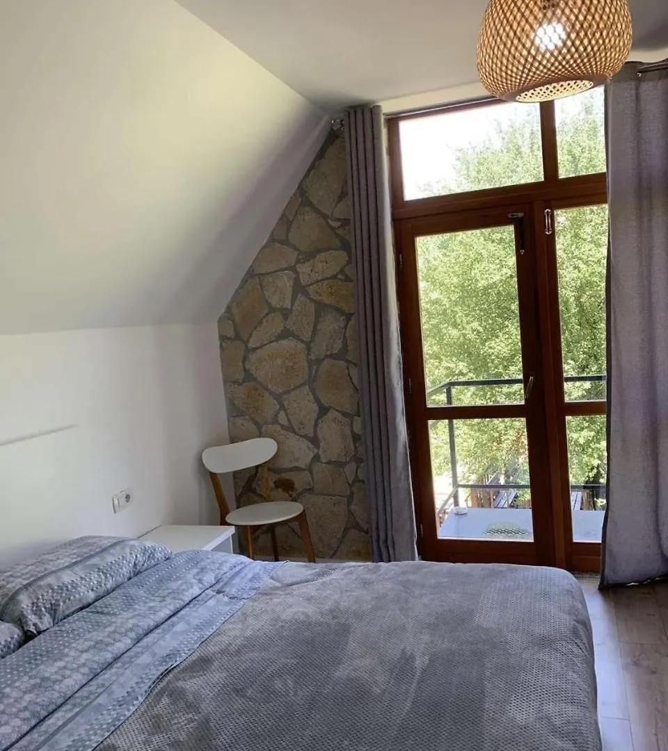 Petriti Theth Hotel